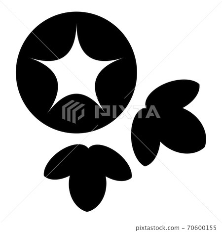 喇叭花 喇叭花 70600155