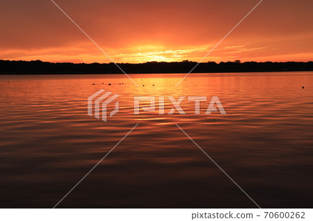 在Kasumigaura湖的日落 70600262