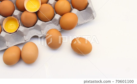 egg egg 70601100