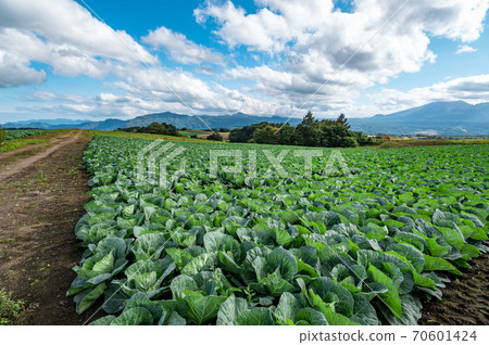 Farm seen from Tsumagoi Plateau in autumn and mountains around Mt. Asama b-1 Farm seen from Tsumagoi Plateau in autumn and mountains around Mt. Asama b-1 70601424