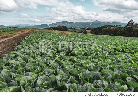 Farm seen from Tsumagoi Plateau in autumn and mountains around Mt. Asama k-2 film style 70602169