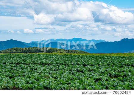 A farm seen from the autumn Tsumagoi plateau and the mountains of Mt. Haruna a A farm seen from the autumn Tsumagoi plateau and the mountains of Mt. Haruna a 70602424