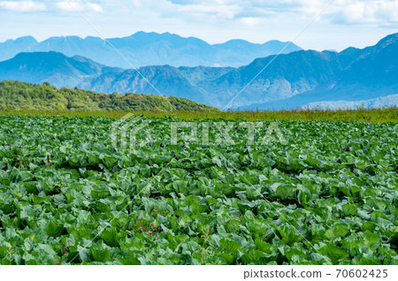 從秋天的錦鯉高原看哈魯納山的農場和山脈b 70602425