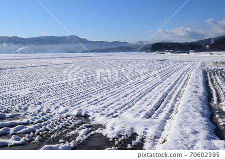 稻田覆蓋著雪 稻田覆蓋著雪 70602595