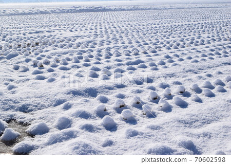 Paddy field covered with snow Paddy field covered with snow 70602598