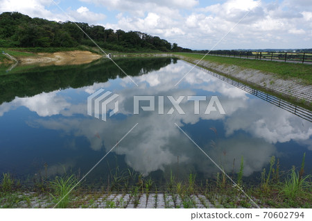 Reservoir (agricultural water) 70602794