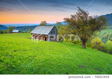 Summer alpine landscape near Brasov, Transylvania, Romania, Europe  70603404