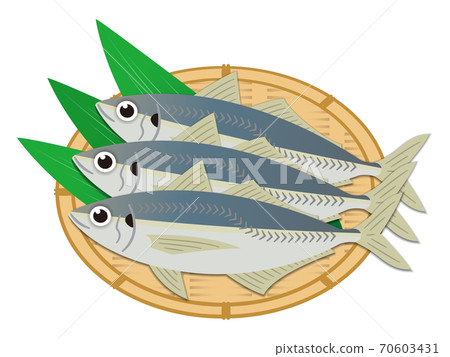 竹莢魚的插圖 竹莢魚的插圖 70603431