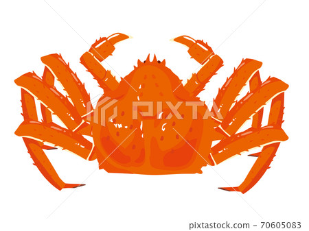 King crab illustration 70605083