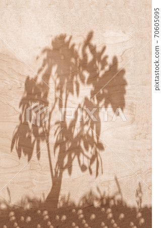 Abstract background of tree shadows on wooden wall. Abstract background of tree shadows on wooden wall. 70605095
