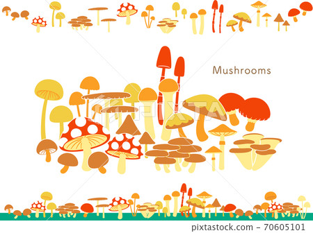 Mushrooms Mushrooms 70605101