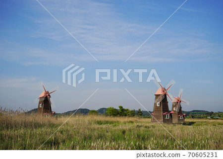 Sora Ecological Wetland Park Sora Ecological Wetland Park 70605231