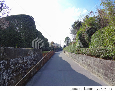 Chiran Samurai Residence Street（鹿兒島縣南九州市Chincho） 70605425