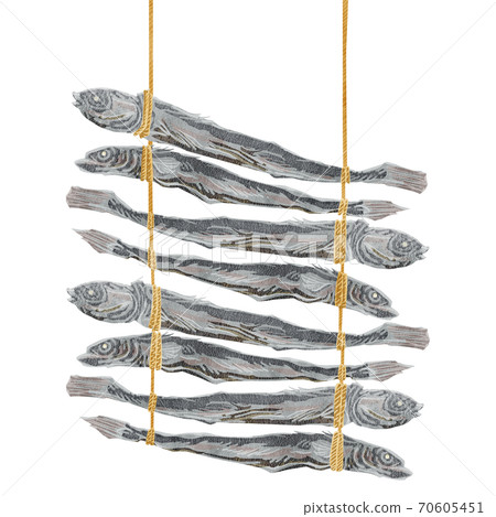 Watercolor style illustration of hanging dried sardines 70605451