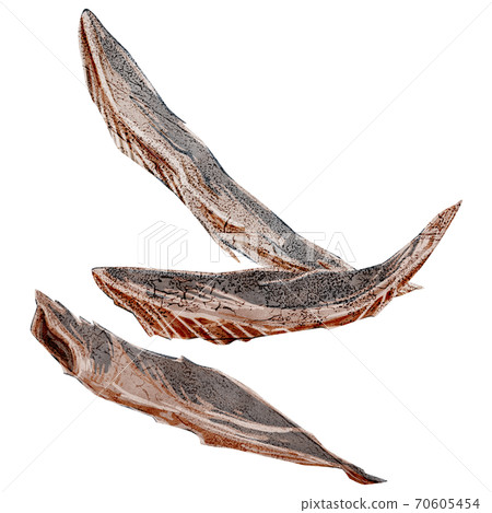 Niboshi watercolor style illustration of dried mackerel 70605454