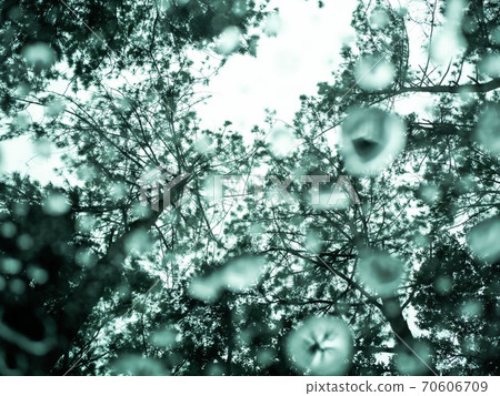 Rain drops or water droplets on clear glass on a blurred nature background. 70606709