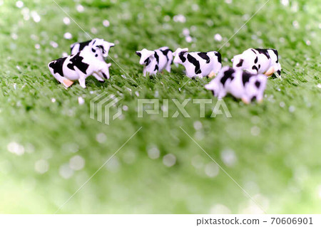 Cow image Cow image 70606901