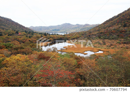 Kakumanbuchi autumn leaves 70607794