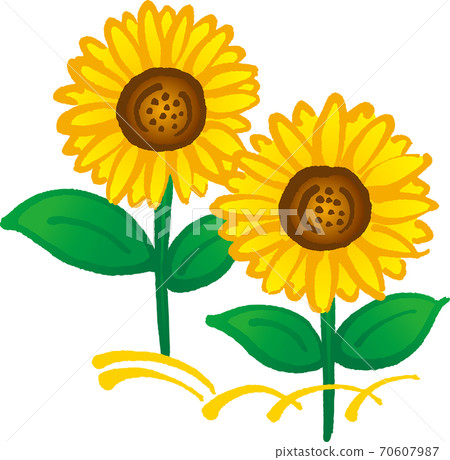 向日葵 70607987