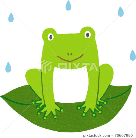 A frog A frog 70607990