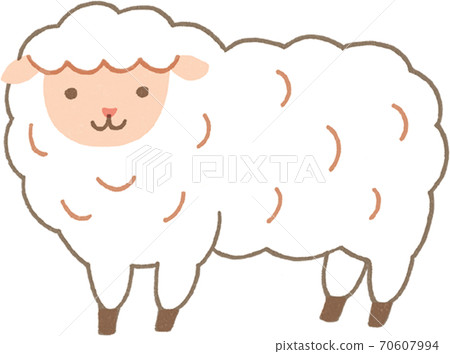 A sheep 70607994