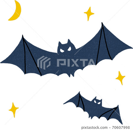 Bat 70607998