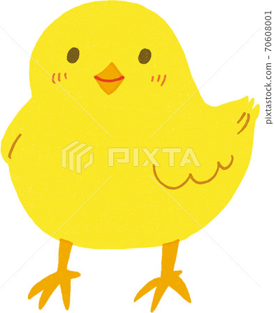小雞 小雞 70608001