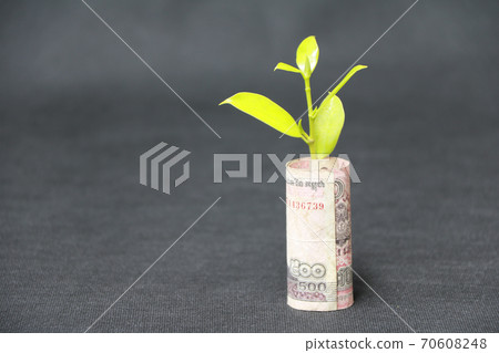 Rolled banknote money five hundred Cambodian Riel and young plant grow up Rolled banknote money five hundred Cambodian Riel and young plant grow up 70608248