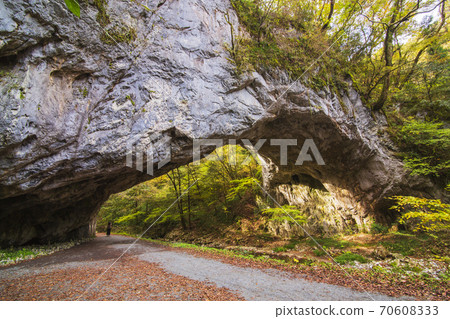 National park Taishakukyo natural monument Autumn leaves of Ohashi 70608333