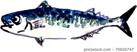 Mackerel 70608747