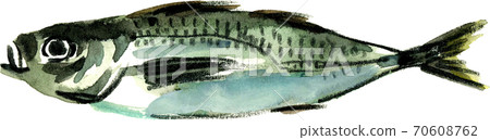 Horse mackerel	 70608762