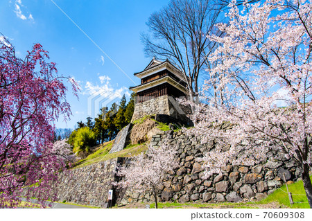 Ueda Castle, Ueda City, Nagano Prefecture (Sakura and South Yaguramon in Amagabuchi) 70609308