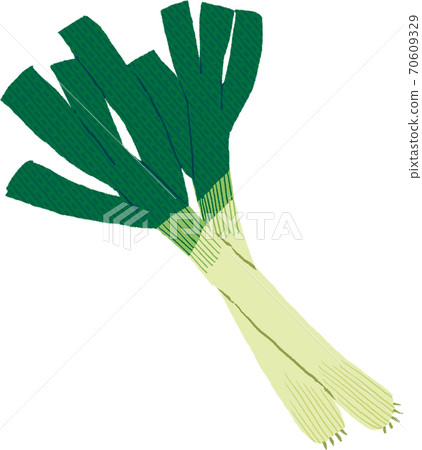 White green onion 70609329