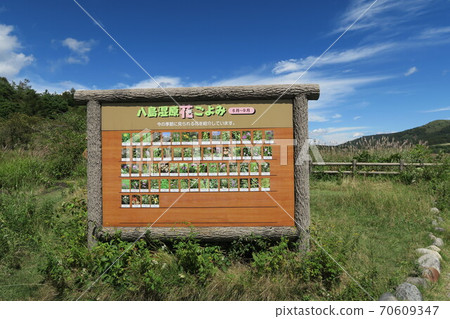 Hachijigahara Marsh 70609347