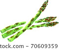 Asparagus 70609359