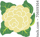 cauliflower  70609364