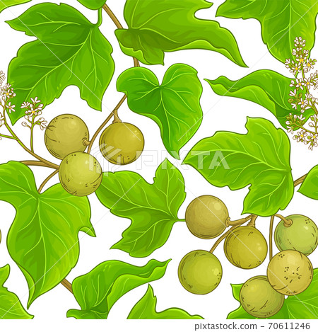 kukui vector pattern 70611246