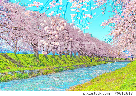 [Anime style] Spring in Japan, Toyama Prefecture Funakawa Beri Cherry blossom trees along the clear stream 70612618