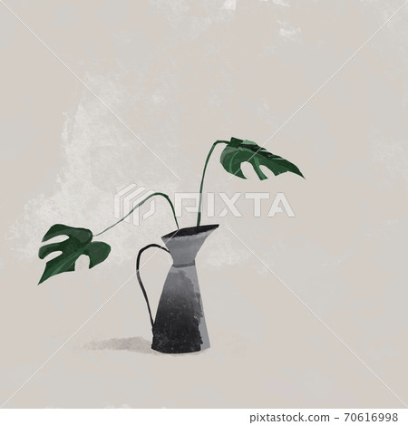 Jug (water jug) and monstera leaves foliage plant Jug (water jug) and monstera leaves foliage plant 70616998