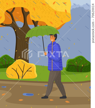 Man in blue jacket and pants carries umbrella, walking in autumn park, yellow tree, bushes, puddles Man in blue jacket and pants carries umbrella, walking in autumn park, yellow tree, bushes, puddles 70620014