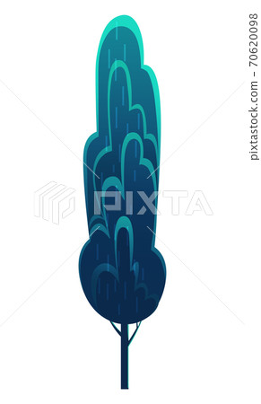 Tall deciduous tree isolated on blue. Forest vegetation, dark blue foliage, lush crown. Flat image Tall deciduous tree isolated on blue. Forest vegetation, dark blue foliage, lush crown. Flat image 70620098