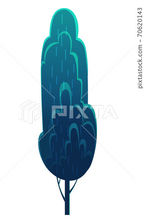 Tall deciduous tree isolated on blue. Forest vegetation, dark blue foliage, lush crown. Flat image Tall deciduous tree isolated on blue. Forest vegetation, dark blue foliage, lush crown. Flat image 70620143