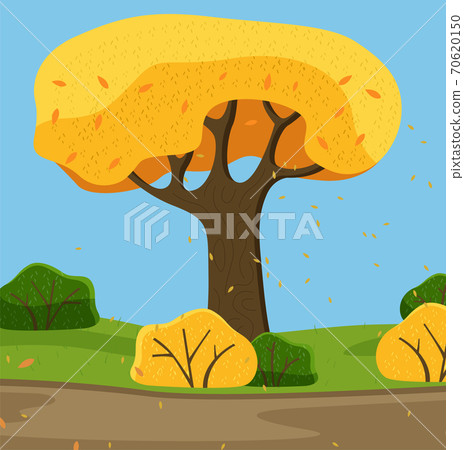 Tree with yellow lush crown and thick trunk, bushes, green field, falling leaves, leaf fall Tree with yellow lush crown and thick trunk, bushes, green field, falling leaves, leaf fall 70620150