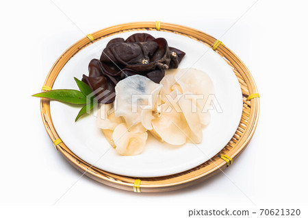 原始白色和黑色kikurage 70621320