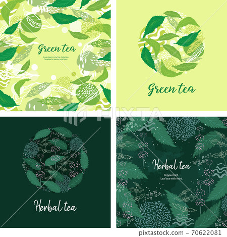 Tea card design. Tea with peppermint. Green... - Stock Illustration  [70622081] - PIXTA