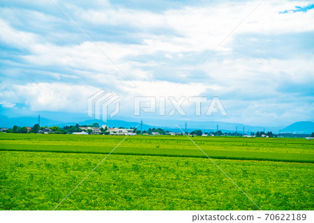 Rural scenery and blue sky in Osaki city 70622189
