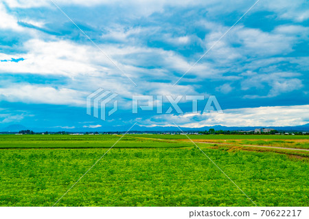 Rural scenery and blue sky in Osaki city Rural scenery and blue sky in Osaki city 70622217