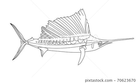 long-snouted sea needle, Swordfish, antistress fish coloring page. Sea life. Undersea world long-snouted sea needle, Swordfish, antistress fish coloring page. Sea life. Undersea world 70623670