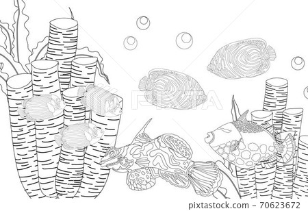 Coloring page fish. Sea life. Undersea world. illustration. 70623672
