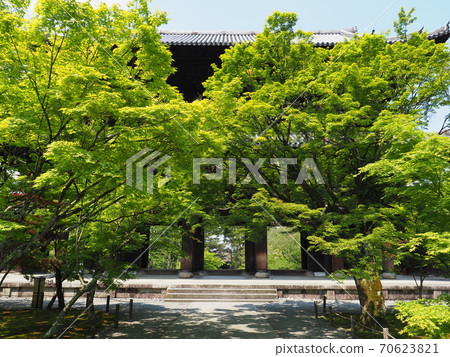 南禪寺在新鮮的綠色 南禪寺在新鮮的綠色 70623821